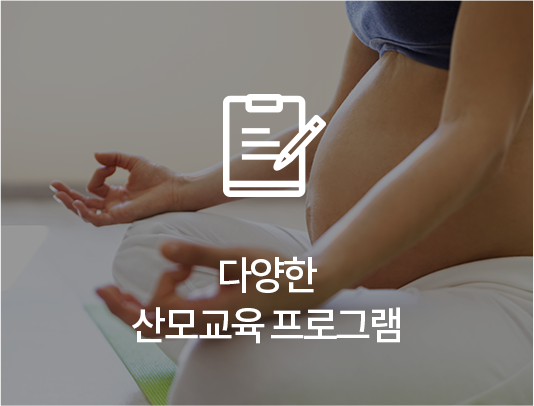 다양한 교육 프로그램